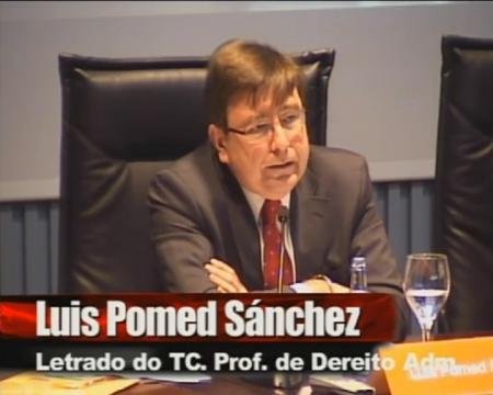 Luis Pomed Sánchez, Letrado do Tribunal Constitucional